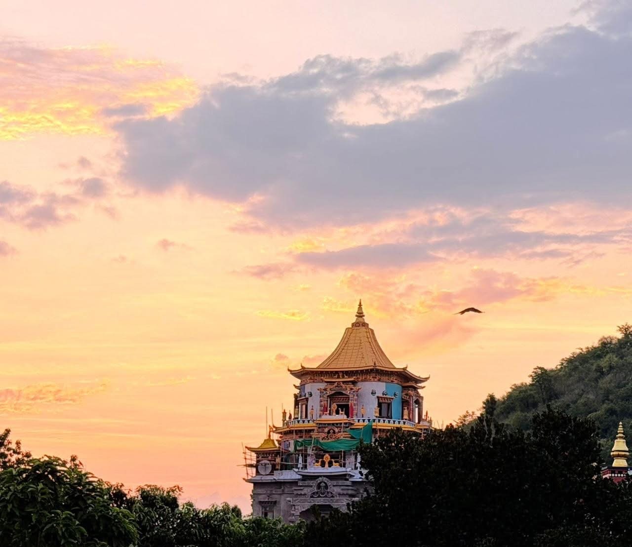 Mái mạ vàng của Zangdok Palri đón tia nắng cuối ngày trên hàng cây.